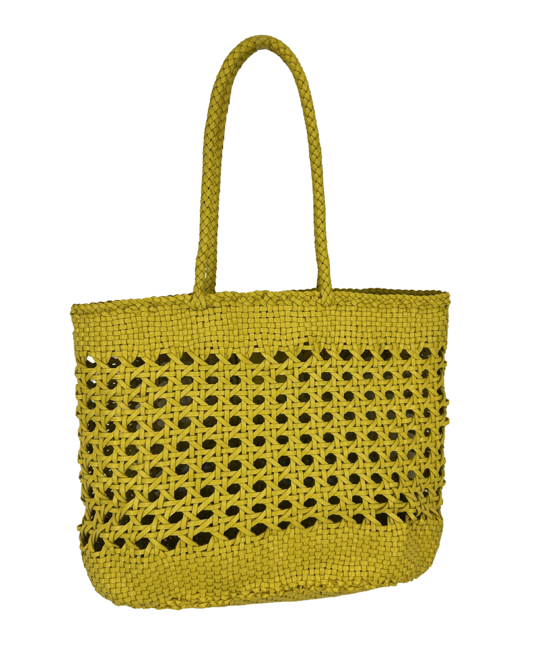 Dragon Diffusion Tote