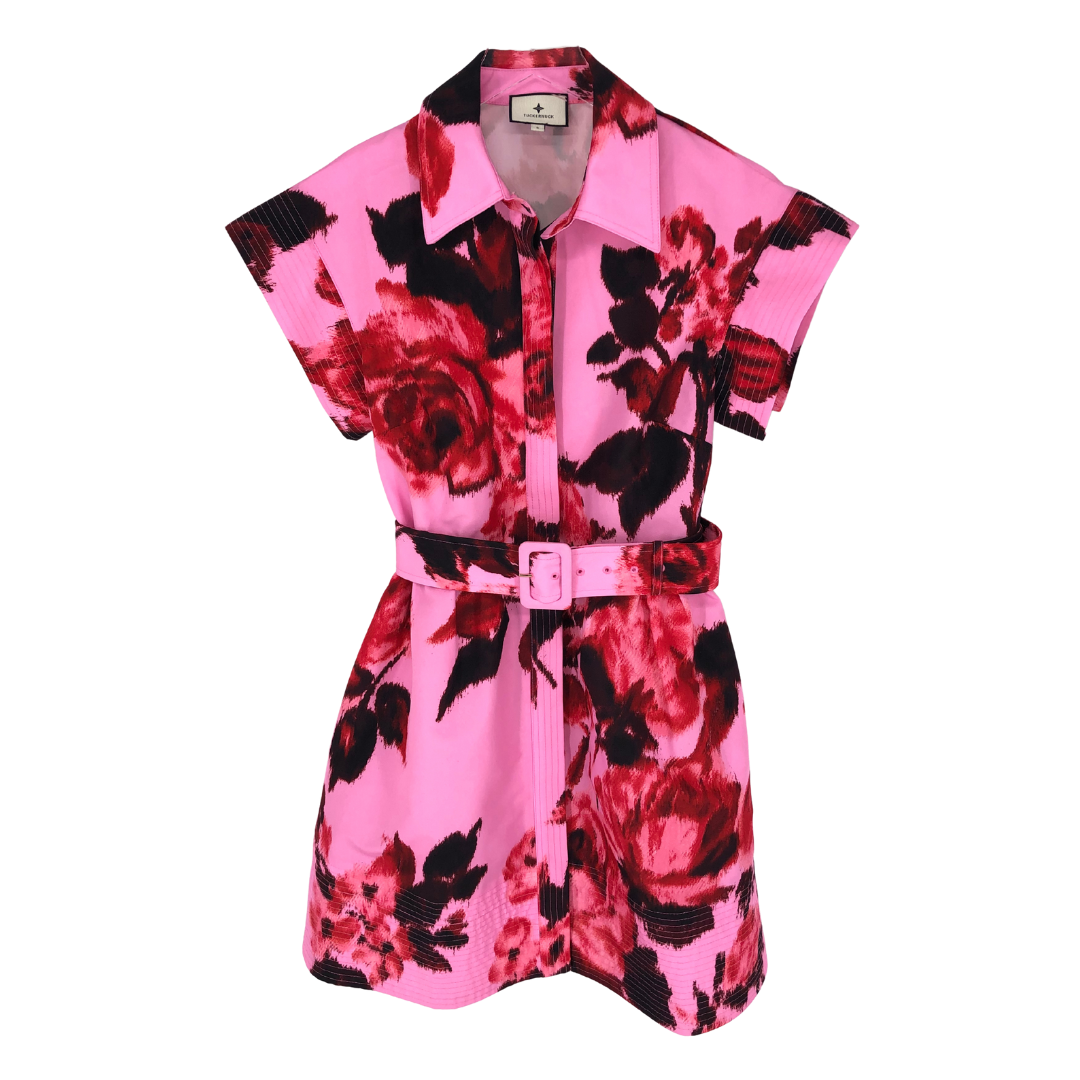 Tuckernuck Dress | S